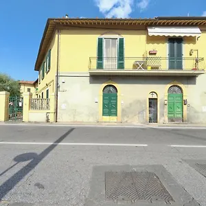The Flower , Pisa Italien